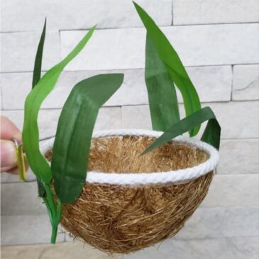 NINHO DE FIBRA DE COCO PARA AZULÃO E BICUDO