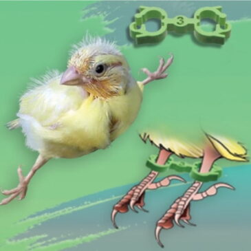 ALGEMA PARA CORREÇÃO DE PATAS ABERTAS – 3,0MM