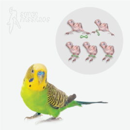 ALGEMAS PARA CORREÇÃO DE PATAS ABERTAS – 4,0MM