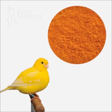 LUTEÍNA CONCENTRADA IMPORTADA 100g