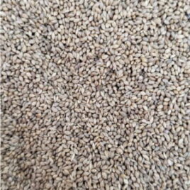 FONIOPADDY – COMBATE NATURAL A COCCIDIOSE EM AVES – 500g
